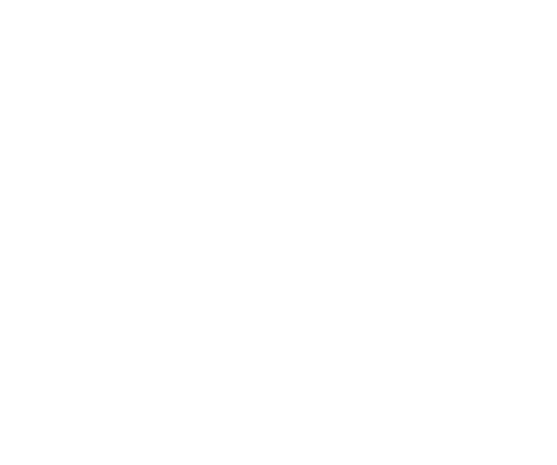 LexPlex Group